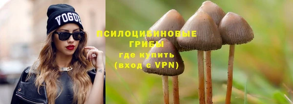 ешки Абаза