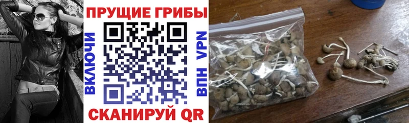 Псилоцибиновые грибы Magic Shrooms  Ленинградская 